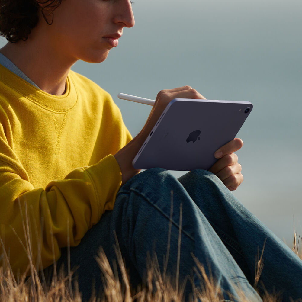 Surfplatta Apple iPad mini